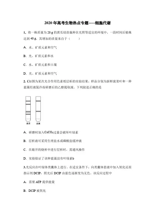 2020年高考生物热点专题训练 细胞代谢(附答案解析)