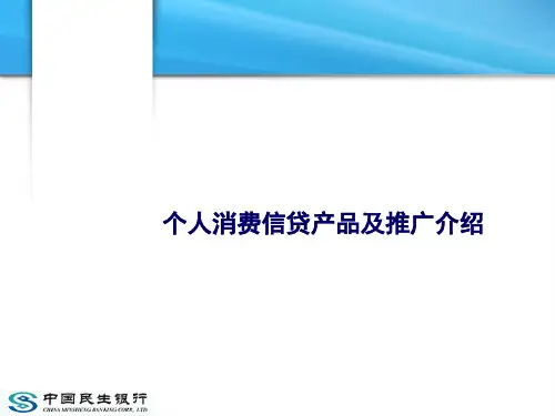 某银行个人消费信贷产品及推广介绍某