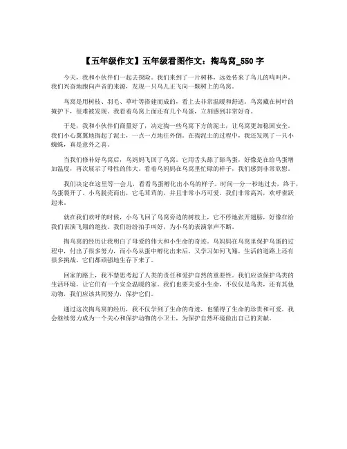 【五年级作文】五年级看图作文：掏鸟窝_550字