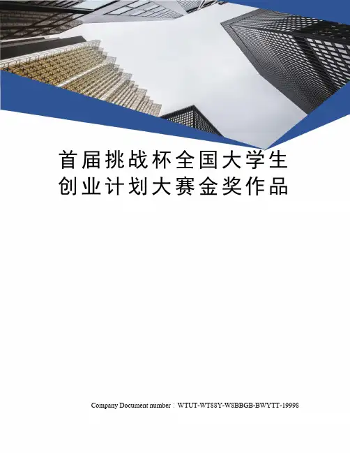 首届挑战杯全国大学生创业计划大赛金奖作品