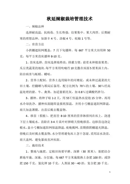 秋延辣椒栽培管理技术