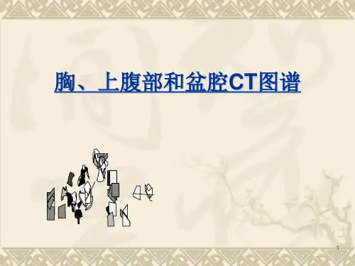 全身CT断层解剖详细实用图解