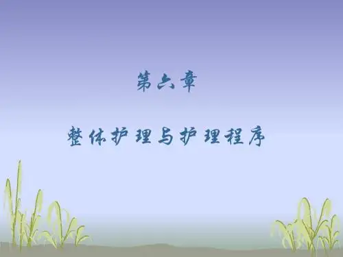 整体护理与护理程序
