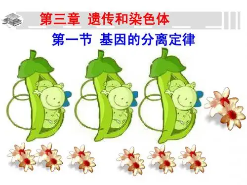 基因的分离定律汇报课课件