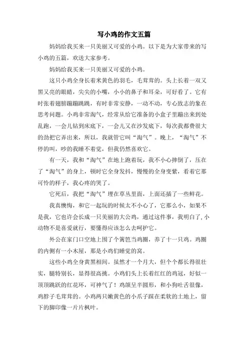 写小鸡的作文五篇