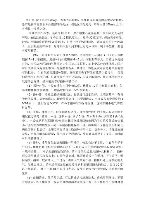 生石花 拉丁名为Lithops