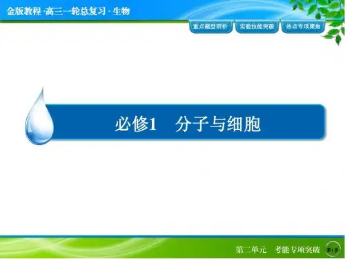 《金版教程》2016届高考生物一轮总复习 考能专项突破2