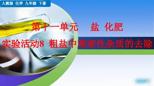 人教版九年级化学 实验活动8 粗盐中难溶性杂质的去除 课件