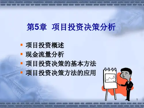 项目投资决策分析报告