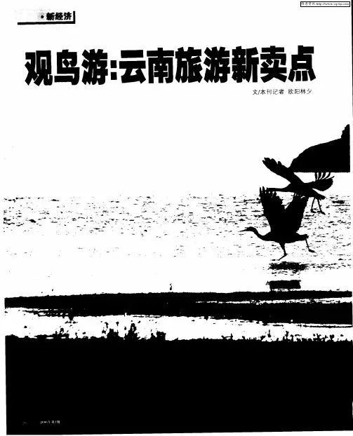 观鸟游：云南旅游新卖点