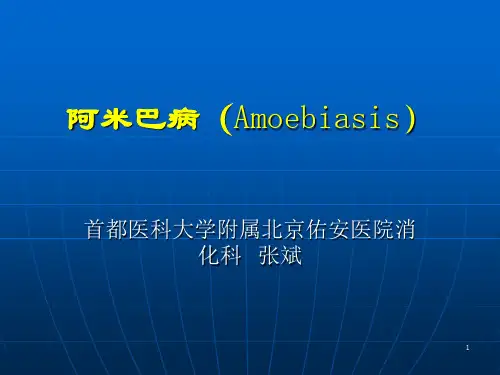 阿米巴病