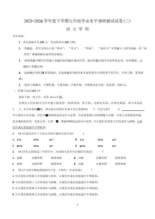 2024年黑龙江省哈尔滨市道外区中考三模语文试题(含答案)