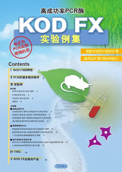 KOD FX使用说明书