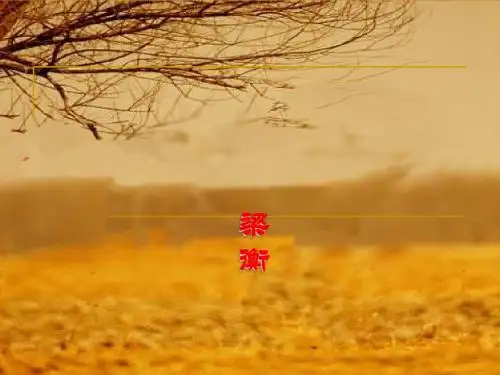 初中语文《夏感》(共12张)ppt5