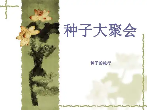 新星幼儿园大班科学《种子的聚会》PPT课件