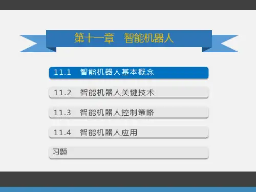 《智能机器人》PPT课件