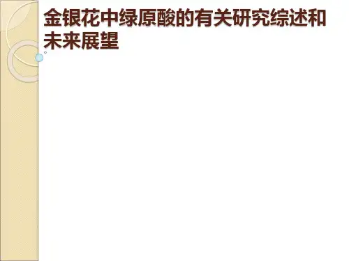 金银花PPT课件