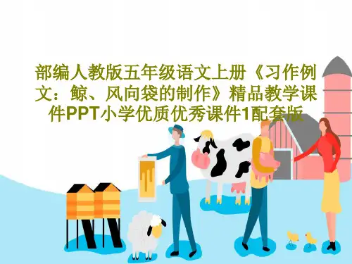 部编人教版五年级语文上册《习作例文：鲸、风向袋的制作》精品教学课件PPT小学优质优秀课件1配套版共5