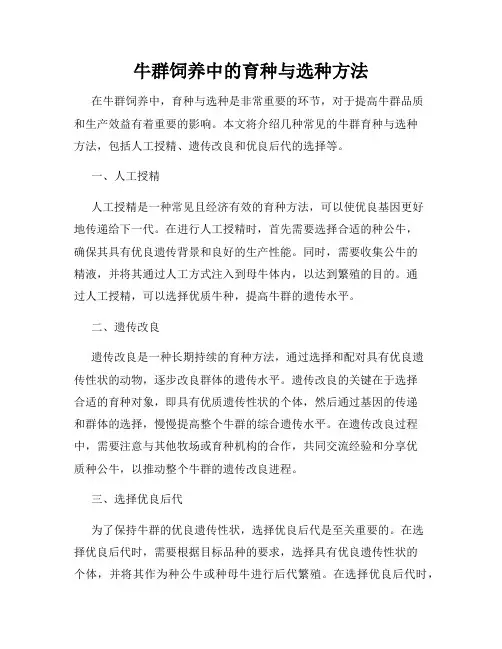 牛群饲养中的育种与选种方法