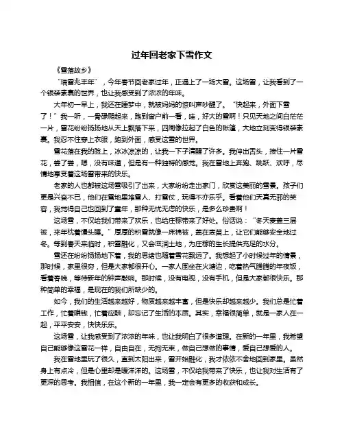 过年回老家下雪作文