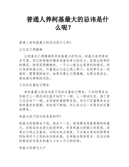 普通人养柯基最大的忌讳是什么呢？