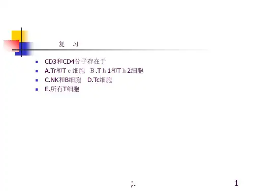 免疫学抗原递呈细胞及抗原递呈ppt课件