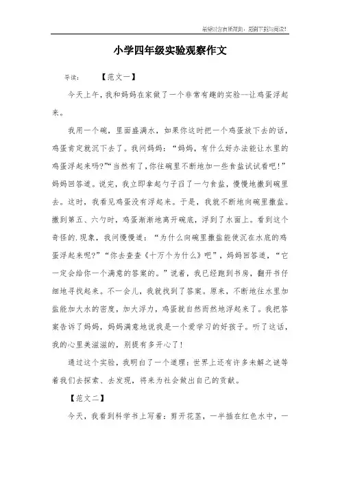 小学四年级实验观察作文