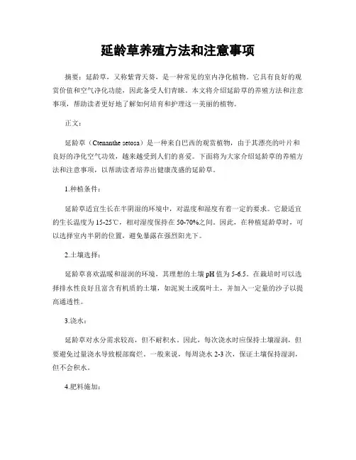 延龄草养殖方法和注意事项