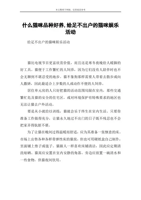 什么猫咪品种好养,给足不出户的猫咪娱乐活动