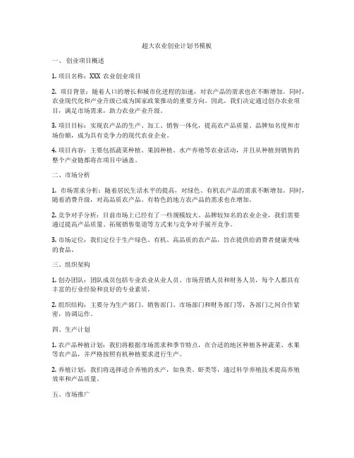 超大农业创业计划书模板