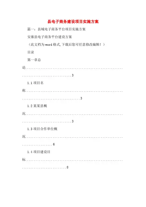县电子商务建设项目实施方案
