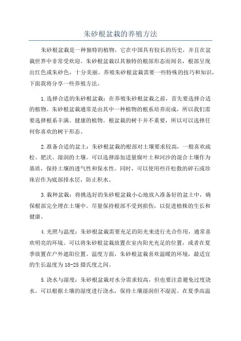 朱砂根盆栽的养殖方法