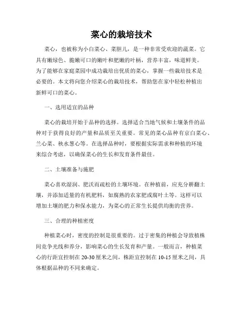 菜心的栽培技术