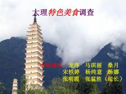 1.大理凉粉专题报告