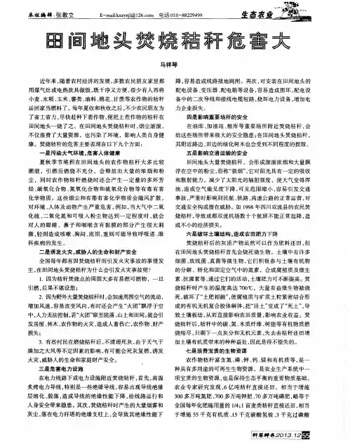 田间地头焚烧秸秆危害大
