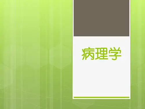 病理学第二章 细胞和组织的适应、损伤与修复