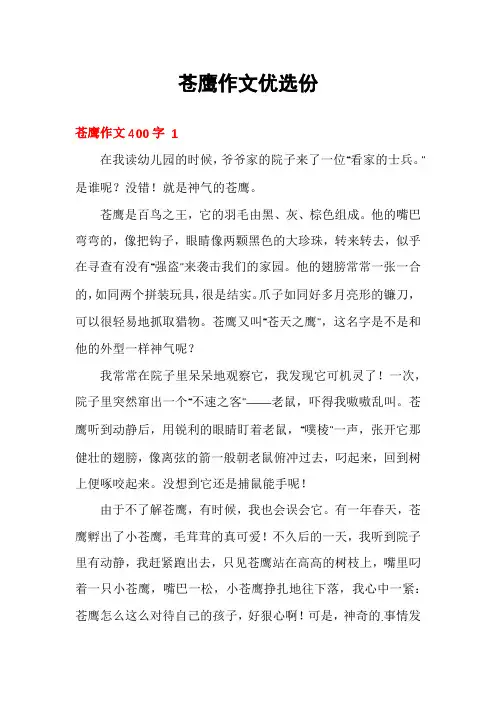 苍鹰作文优选份