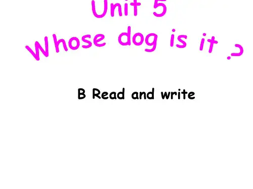 人教版PEP五年级下册英语教学课件-Unit 5 B read and write