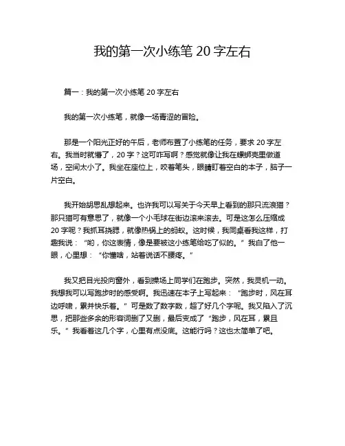我的第一次小练笔20字左右