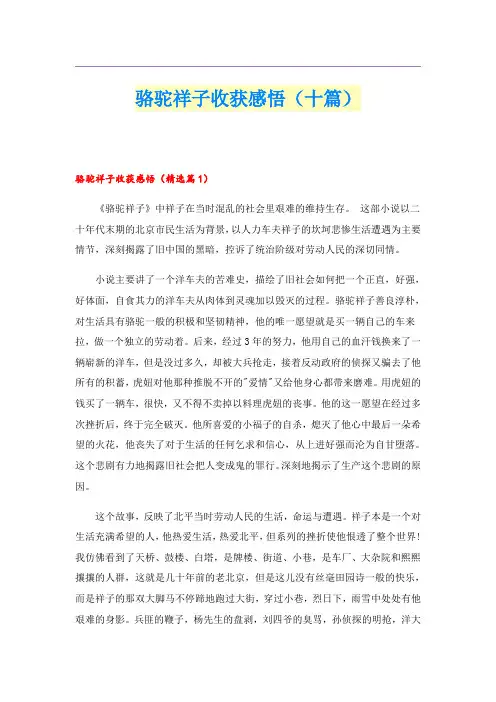 骆驼祥子收获感悟(十篇)