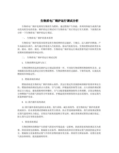 生物质电厂锅炉运行调试分析