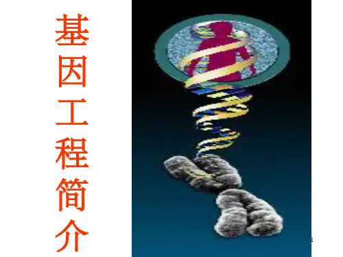《基因工程简介》PPT课件