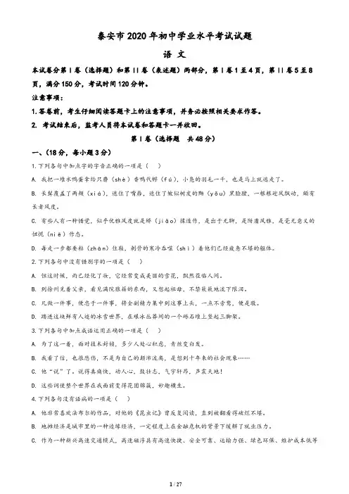 山东省泰安市2020年中考语文试题(含答案与解析)