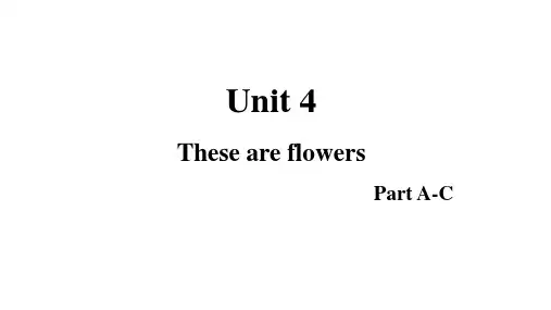 湘少版四年级上册英语教学课件 Unit 4 These are flowers Part A-C
