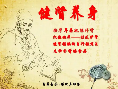 补肾养身  ppt课件