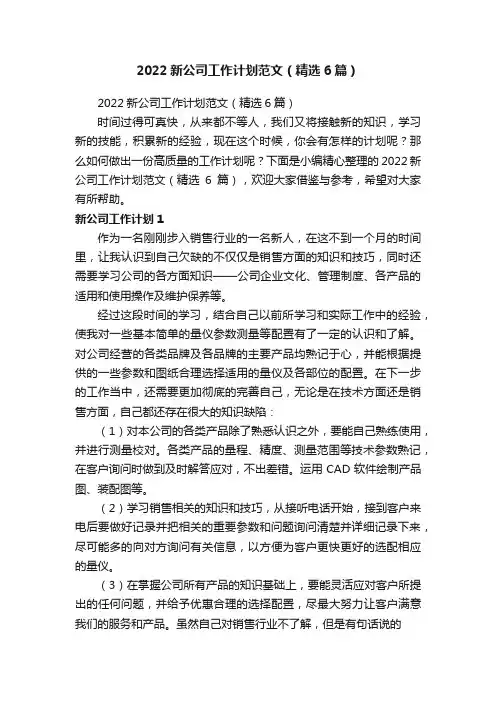 2022新公司工作计划范文（精选6篇）