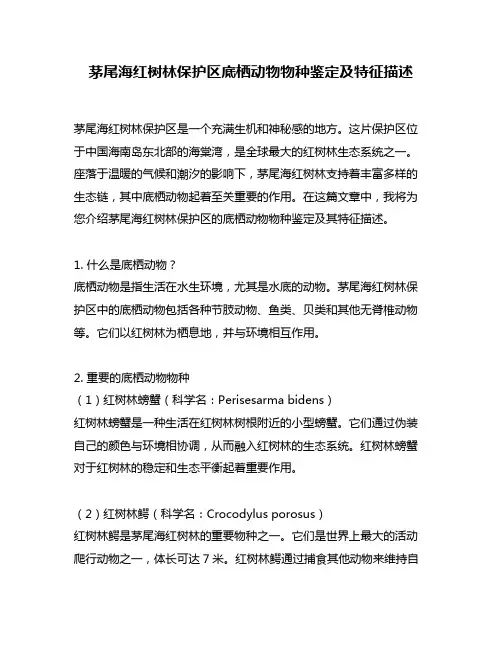 茅尾海红树林保护区底栖动物物种鉴定及特征描述