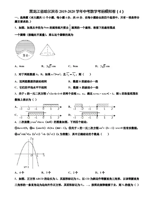 黑龙江省哈尔滨市2019-2020学年中考数学考前模拟卷(4)含解析