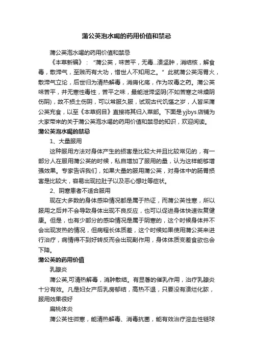 蒲公英泡水喝的药用价值和禁忌