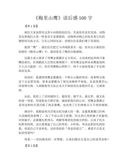 《梅里山鹰》读后感500字
